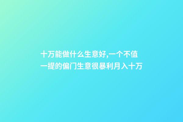 十万能做什么生意好,一个不值一提的偏门生意很暴利月入十万-第1张-观点-玄机派