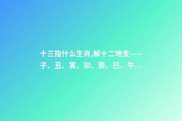 十三指什么生肖,解十二地支——子、丑、寅、卯、辰、巳、午、未、申、酉、戌、亥-第1张-观点-玄机派