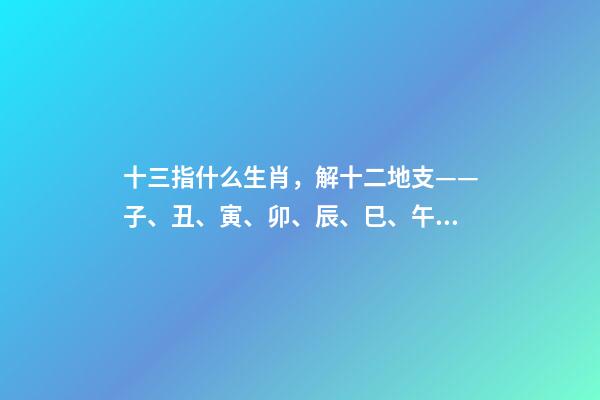 十三指什么生肖，解十二地支——子、丑、寅、卯、辰、巳、午、未、申、酉、戌、亥-第1张-观点-玄机派