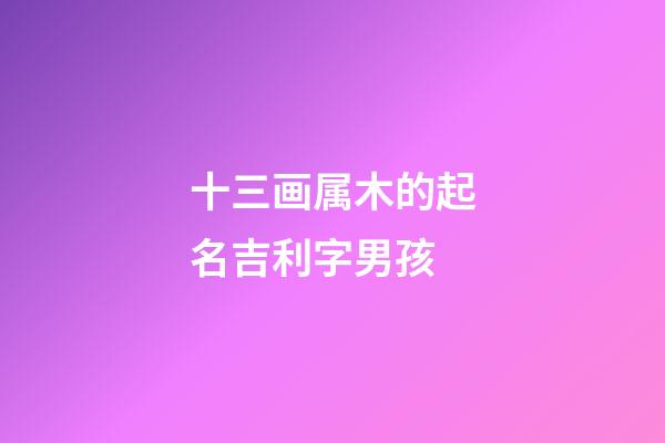 十三画属木的起名吉利字男孩(13画属木的字有哪些取名男)-第1张-男孩起名-玄机派