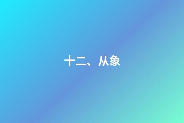 十二、从象