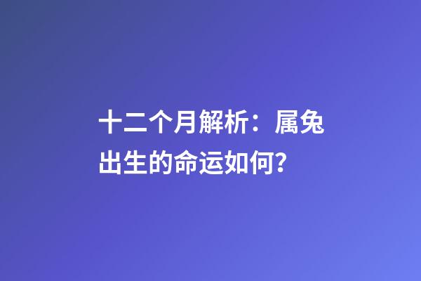 十二个月解析：属兔出生的命运如何？