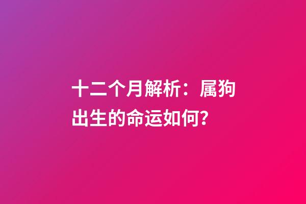 十二个月解析：属狗出生的命运如何？