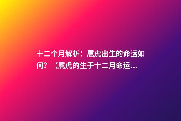 十二个月解析：属虎出生的命运如何？（属虎的生于十二月命运如何）