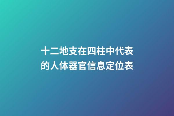 十二地支在四柱中代表的人体器官信息定位表