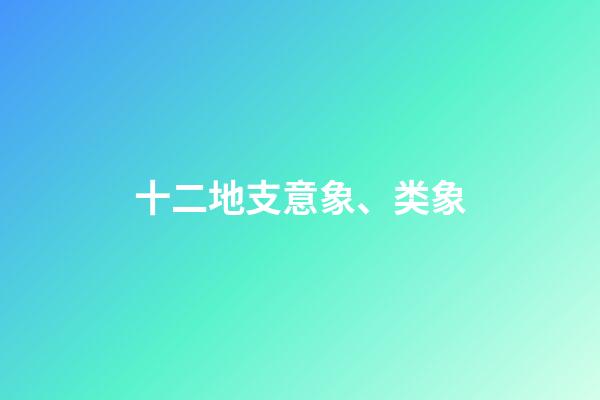 十二地支意象、类象