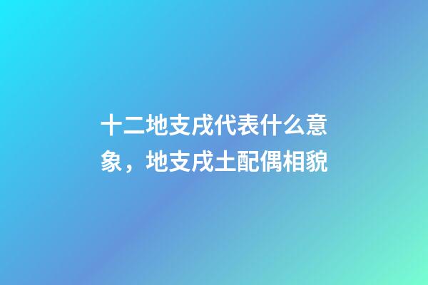 十二地支戌代表什么意象，地支戌土配偶相貌