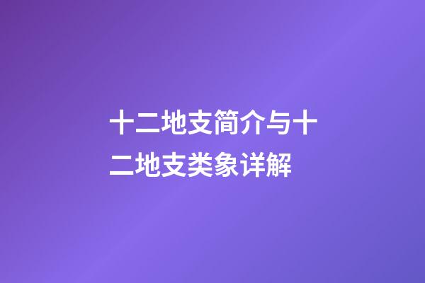 十二地支简介与十二地支类象详解