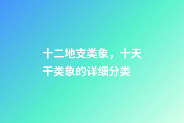 十二地支类象，十天干类象的详细分类