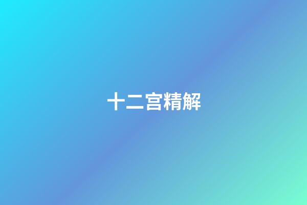 十二宫精解