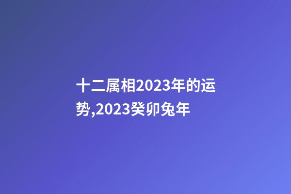 十二属相2023年的运势,2023癸卯兔年-第1张-观点-玄机派