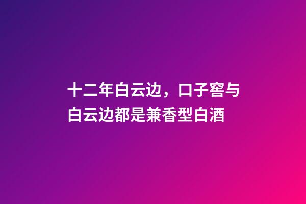 十二年白云边，口子窖与白云边都是兼香型白酒-第1张-观点-玄机派