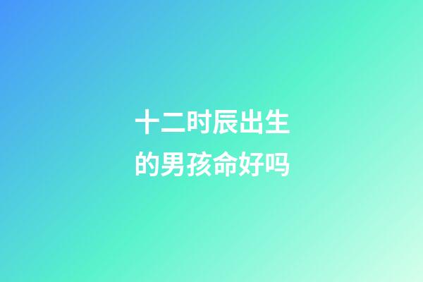 十二时辰出生的男孩命好吗
