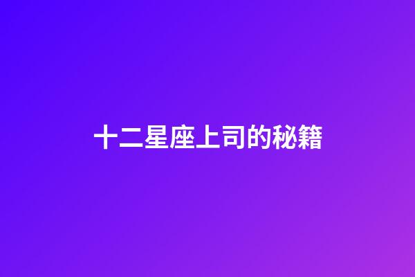 十二星座上司的秘籍