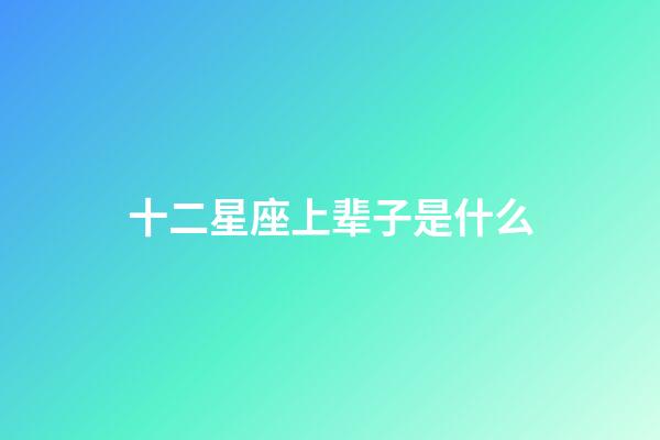 十二星座上辈子是什么-第1张-星座运势-玄机派