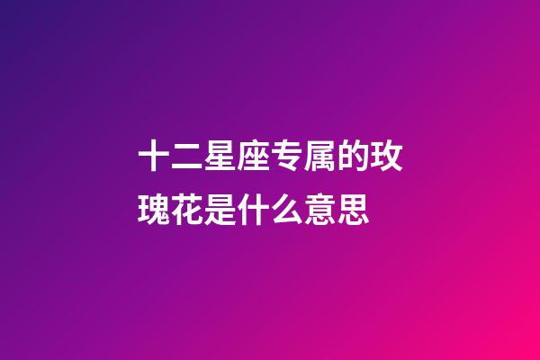 十二星座专属的玫瑰花是什么意思-第1张-星座运势-玄机派