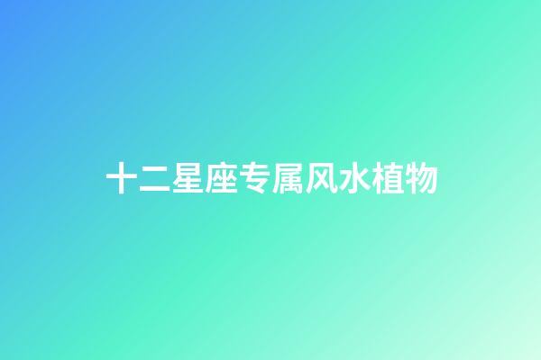 十二星座专属风水植物