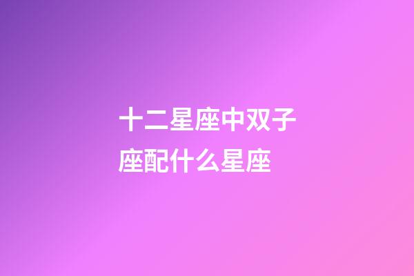 十二星座中双子座配什么星座-第1张-星座运势-玄机派