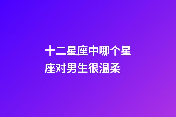 十二星座中哪个星座对男生很温柔-第1张-星座运势-玄机派