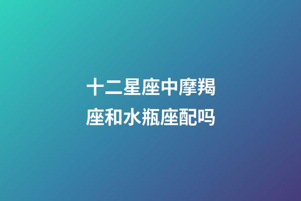 十二星座中摩羯座和水瓶座配吗-第1张-星座运势-玄机派