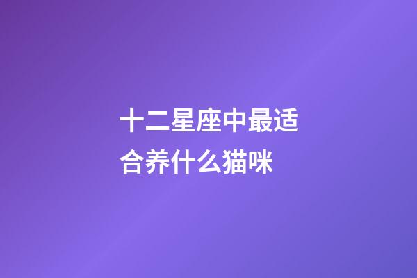 十二星座中最适合养什么猫咪-第1张-星座运势-玄机派