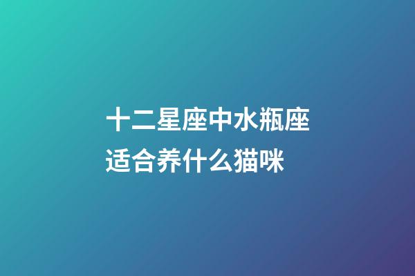 十二星座中水瓶座适合养什么猫咪-第1张-星座运势-玄机派