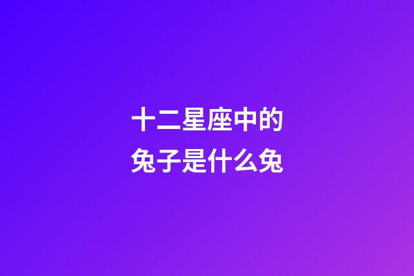 十二星座中的兔子是什么兔-第1张-星座运势-玄机派