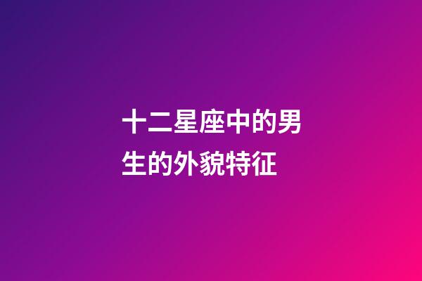 十二星座中的男生的外貌特征-第1张-星座运势-玄机派