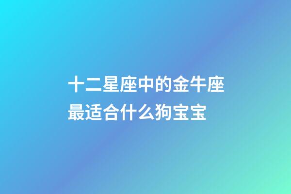 十二星座中的金牛座最适合什么狗宝宝