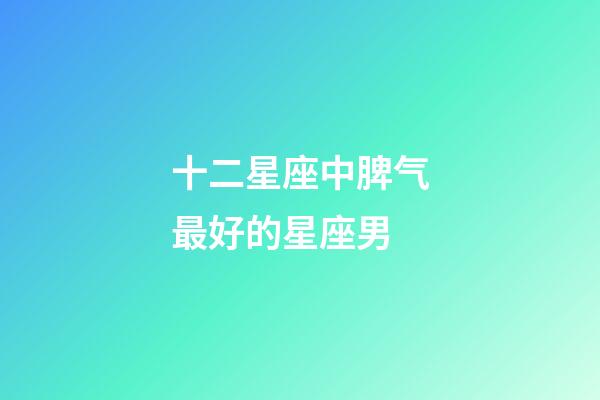 十二星座中脾气最好的星座男-第1张-星座运势-玄机派