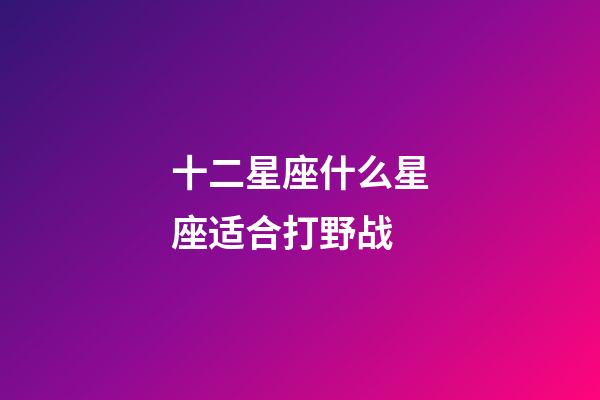 十二星座什么星座适合打野战-第1张-星座运势-玄机派