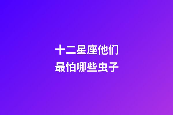 十二星座他们最怕哪些虫子