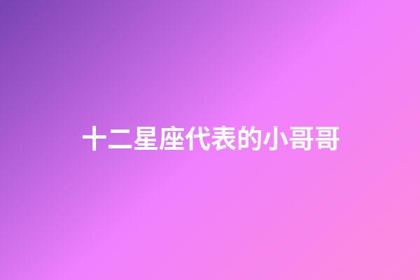 十二星座代表的小哥哥-第1张-星座运势-玄机派