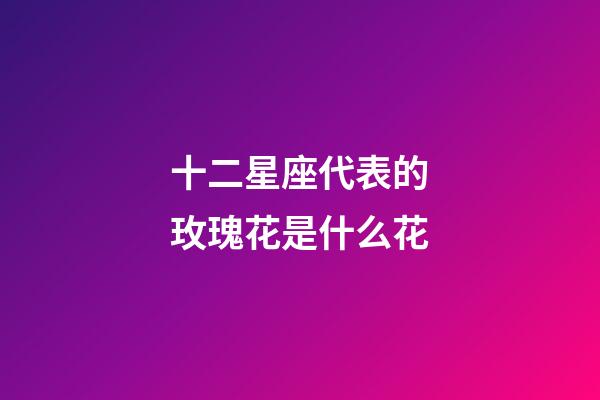 十二星座代表的玫瑰花是什么花-第1张-星座运势-玄机派