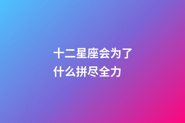 十二星座会为了什么拼尽全力-第1张-星座运势-玄机派