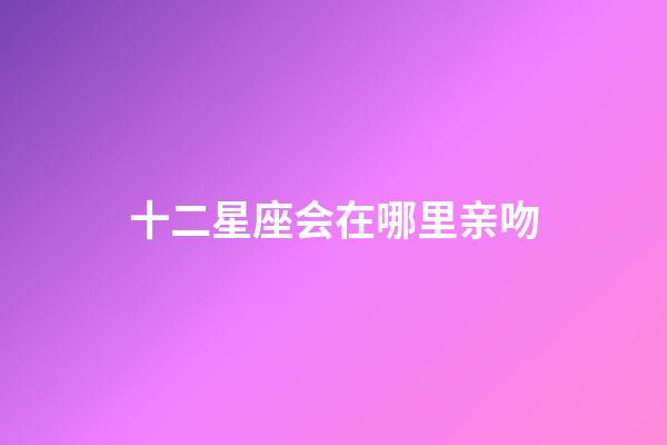 十二星座会在哪里亲吻-第1张-星座运势-玄机派