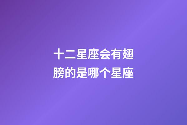 十二星座会有翅膀的是哪个星座-第1张-星座运势-玄机派