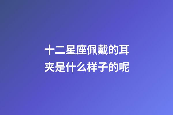 十二星座佩戴的耳夹是什么样子的呢-第1张-星座运势-玄机派