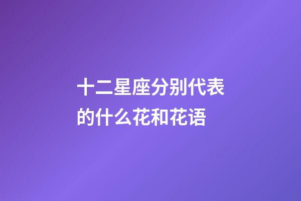 十二星座分别代表的什么花和花语-第1张-星座运势-玄机派