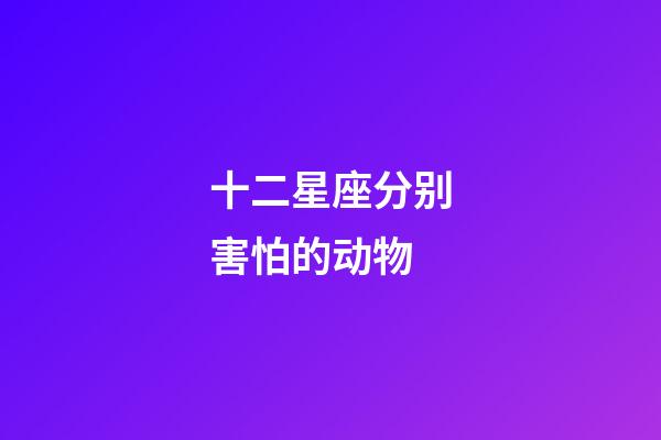 十二星座分别害怕的动物-第1张-星座运势-玄机派