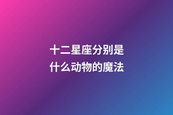 十二星座分别是什么动物的魔法-第1张-星座运势-玄机派