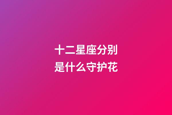 十二星座分别是什么守护花-第1张-星座运势-玄机派