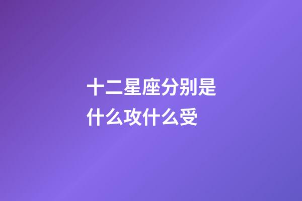 十二星座分别是什么攻什么受-第1张-星座运势-玄机派