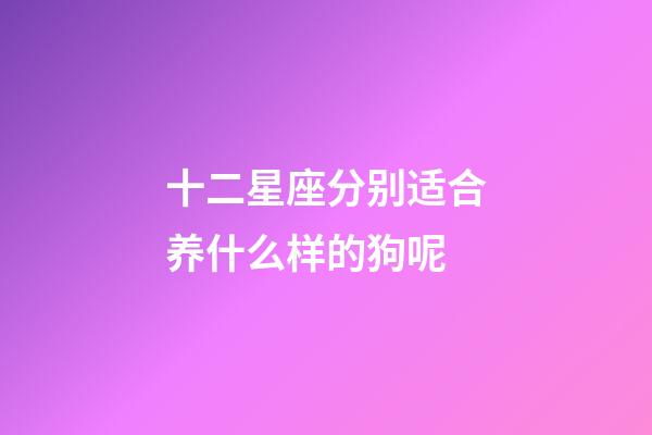 十二星座分别适合养什么样的狗呢-第1张-星座运势-玄机派