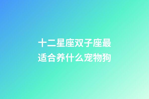 十二星座双子座最适合养什么宠物狗-第1张-星座运势-玄机派