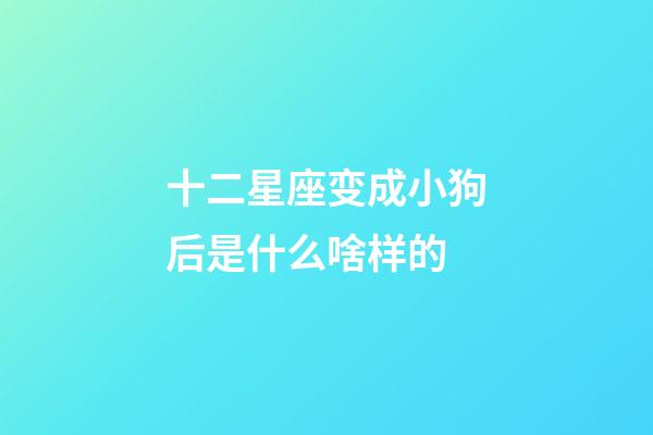 十二星座变成小狗后是什么啥样的-第1张-星座运势-玄机派