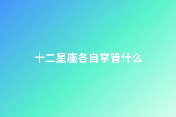 十二星座各自掌管什么-第1张-星座运势-玄机派