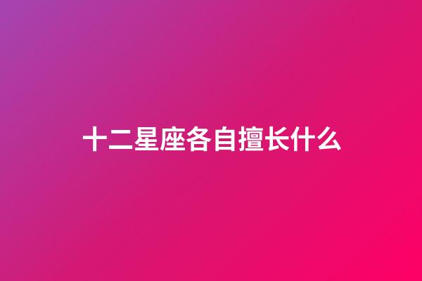 十二星座各自擅长什么-第1张-星座运势-玄机派