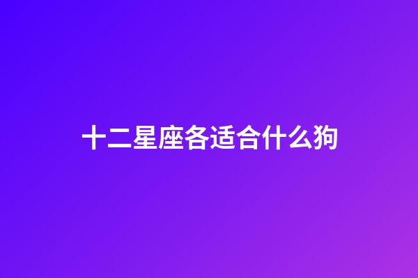 十二星座各适合什么狗-第1张-星座运势-玄机派