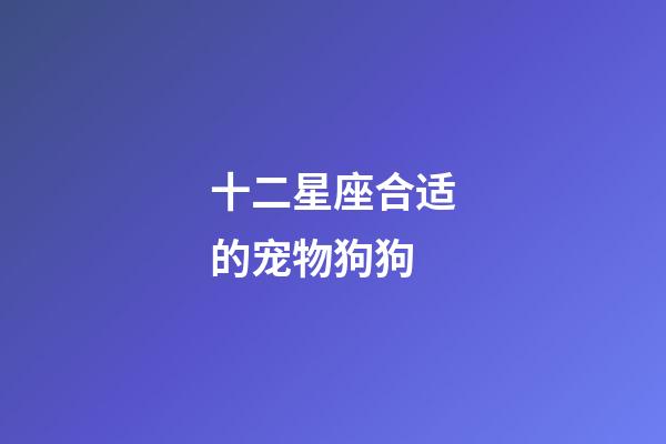 十二星座合适的宠物狗狗-第1张-星座运势-玄机派